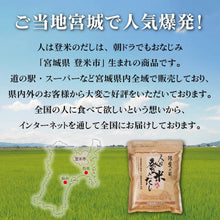 画像をギャラリービューアに読み込む, 【小容量】人は登米のだし 8.8g×10袋入 - 人は登米のだし公式通販